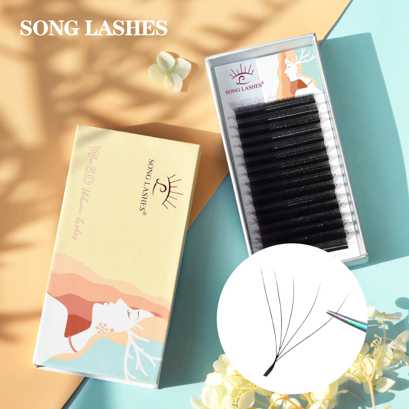 سونغ جلدة علبة مغناطيسية 5D وا - مراجعة Eyelash Extension Logo وسعره
