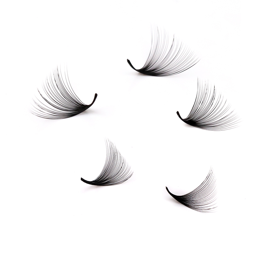 Lashprofessor XL Tray رموش مرو - مراجعة Eyelash Extension Maps وسعره