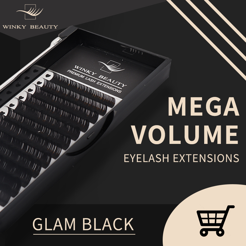 Winky Beauty قم بتخصيص شعارك ا - مراجعة Eyelash Extension Logo وسعره